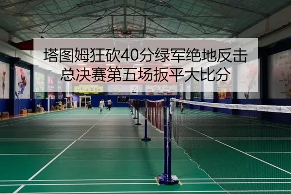 塔图姆狂砍40分绿军绝地反击 总决赛第五场扳平大比分